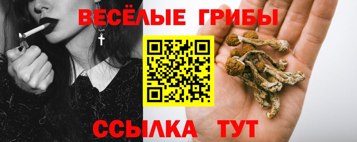 Галлюциногенные грибы Magic Shrooms  где купить наркоту  Борисоглебск  Вход с VPN  Галлюциногенные грибы GOLDEN TEACHER 